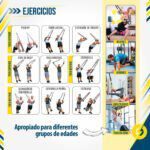 Bandas De Suspensión
